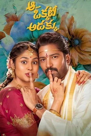 Aa Okkati Adakku 2024 Hindi Dual Audio HD Poster Download - filmyfly