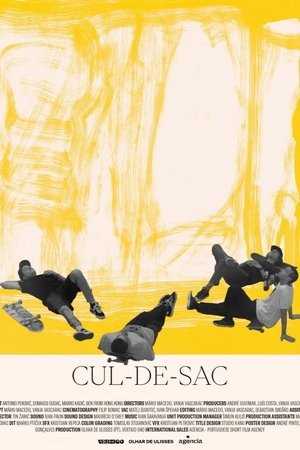 Cul-de-sac (2024) Hindi (MULTI AUDIO) – –