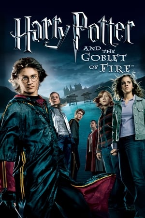 Fire & Ice (2008) Hindi Dual Audio [1.1GB]