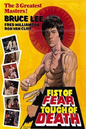 Fist of Fear Touch of Death 1980 Hindi Dual Audio [1GB] HD Poster Download - filmyfly
