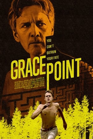 Grace Point (2023) Hindi (MULTI AUDIO) – – HD Poster Download - filmyfly