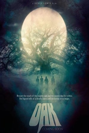 Never Any Blue (2025) Hindi (MULTI AUDIO) – – HD Poster Download - filmyfly